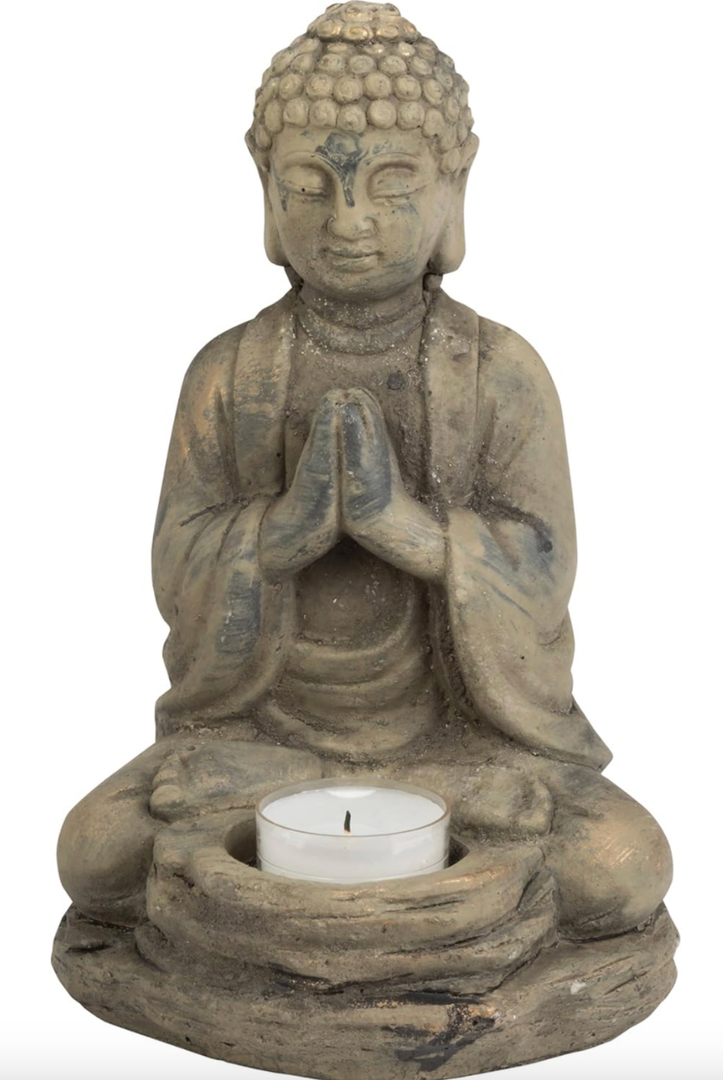 Visit the Store, Biedermann & Sons
Biedermann & Sons