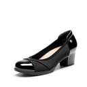 DREAM PAIRS Women's Pumps Low Chunky Block Closed Toe Shoes Work Comfortable Heels Round Toe Dress,Size 8,Black,DWUMPU2507
