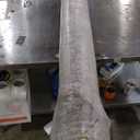 Loloi Layla Collection LAY-03 Olive/Charcoal 7'-6" x 9'-6" .13" Thick Area Rug, Soft, Durable, Vintage Inspired, Distressed, Low Pile, Non-Shedding, Easy Clean, Printed, Living Room Rug