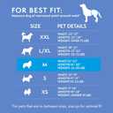 Simple Solution Disposable Dog Diapers, Female Dog Diapers, Puppy Potty Training, Incontinence and Heat Cycle Protection, Medium Diapers for Dogs, 15-23 Inch Waist, 30 Count