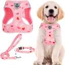PUPTECK Adjustable Dog Harness Collar and Leash Set Step in No Pull Pet Harness for Small Medium Dogs Puppy and Cats Outdoor Walking Running, Soft Mesh Padded Reflective Vest Pink Red Heart Harnesses Medium