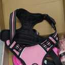 LOBEVE No Pull Dog Harness, Collar & Leash Set | Includes Dog Seat Belt, Collapsible Bowls & Poop Bag Dispenser. Ideal for Training, Walking, Hiking. Fits Small to Large Dogs(Pink-L)