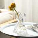 Glass Vase Clear Flower Vases Home 6.25-Inch Unique Flowers Container Modern Decor Aesthetic for Desk Bedroom Balcony Office for Wedding Women Gift,Irregular