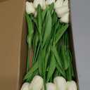 MACTING 30 PCS Artificial Tulip Flowers 13.7" Real Touch Fake PU Tulips Bouquet Faux Flowers for Floral Arrangements Table Centerpieces Kitchen Home Mothers Day Spring Easter Decorations(Cream)
