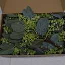 Janinka 100 Pcs Mixed Eucalyptus Leaves Stems Bulk Artificial Eucalyptus Leaves with White Seeds Artificial Silver Dollar Sprays Faux Oval for Floral Wreath Bouquets Wedding Greenery Decoration