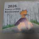 2026 Wall Calendar - Birds Wall Calendar 2026, 9.8" X 14.5"(Open), Funny Calendar 2026 Christmas Gag Gifts, Perfect White Elephant Gifts