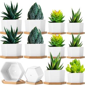 Meanplan 12 Pack Small Succulent Plant Pots Bulk White Ceramic Plant Pots with Bamboo Saucers Hexagon Pot with Drainage Holes for Indoor Outdoor(4", 3")