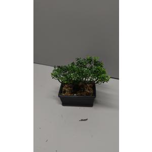 Artificial Bonsai Tree Juniper Faux Plants Indoor Small Fake Plants Decor with Ceramic Pots for Home Table Office Desk Bathroom Shelf Bedroom Living Room Farmhouse Decorations