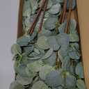 6 Pcs 27" Eucalyptus Stems Greenery Stems Eucalyptus Leaf Spray in Green Silk Plastic Plants Floral Artificial Plants for Home Party Wedding Decoration