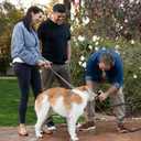 2025 Upgraded 100FT Non-Expanding Garden Hose, FLWORVE Flexible Water Hose with 10 Function Hose Nozzle, Lightweight, Kink Free, High-Pressure, All-Weather Use for Lawns, Garden, Car Wash and Outdoor