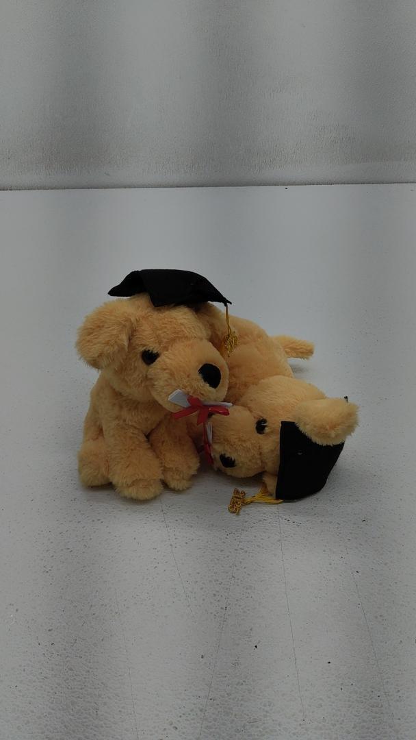 Graduation Puppies With Cap and Diploma 10", Pack of 2