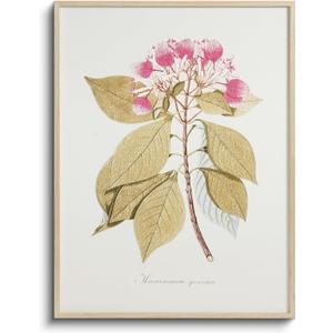 Vintage Botanical 3D Print Metal Framed Canvas Wall Art, Raised Line Detailing Pink Blooms and Leaf Illustration, 12x16 Textured Floral Nature Artwork, Living Room Bedroom Entryway Decor