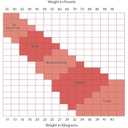 Capezio Little Girls' Hold & Stretch Footed Tight (Small, Ballet Pink)