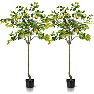 Jexine 2 Pack Artificial Lemon Tree 5 ft Tall Fake Plant Pre Potted Faux Lemon Tree Realistic Fruits for Indoor Home Decor Office Living Room