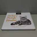 Cat Window Perch for Indoor Cats - Window Cat Perch, Window Perch for Cats Inside Window Cat Bed, Suction Cup Cat Bed Window, Cat Hammock for Window, Cat Window Seat, Cat Window Hammock