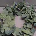 20inch Eucalyptus Wreaths for Front Door Spring and Summer Green Wreath with Berries Farmhouse Door Wreath Year Round Wreaths for Front Door Indoors