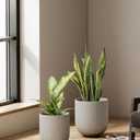 LE TAUCI  Plant Pots Indoor, Ceramic Planters for Indoor Plants, Cylinder Pots with Drainage Hole and Plug, Planter Pots for Home Office Room Patio, Set of 2, Neutral Gray