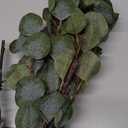 Lighted Eucalyptus Branches, 32 Inch Branches with 32 LED Lights, Battery Powered Eucalyptus Branches for Vases, Prelit Tree Braches for Home Wedding Indoor Outdoor Spring Decorations, Timer