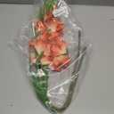 Long Stem Artificial Gladiolus Flower, Set of 2, Home/Wedding/Office Decor (Orange)