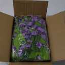 Lvydec Wisteria Artificial Flowers Garland, 4 Pcs Total 28.8ft Artificial Wisteria Vine Silk Hanging Flower for Home Garden Outdoor Ceremony Wedding Arch Floral Decor (Light Purple)