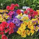 12 Bundles Artificial Pansy Flowers Faux Plastic Wild Flowers Bushes for Home Kitchen Garden Wedding Table Centerpieces Bouquet Arrangement Indoor Outdoor Decor (Mixed Color - 12Pack)