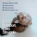 Felisyl L-Lysine Granules for Cats 100g (3.5 oz, 310 Servings)  Supports Immune, Respiratory, and Eye Health. Eases Sneezing, Runny Nose, and Watery Eyes. Tasty Salmon Flavor - Made in The USA