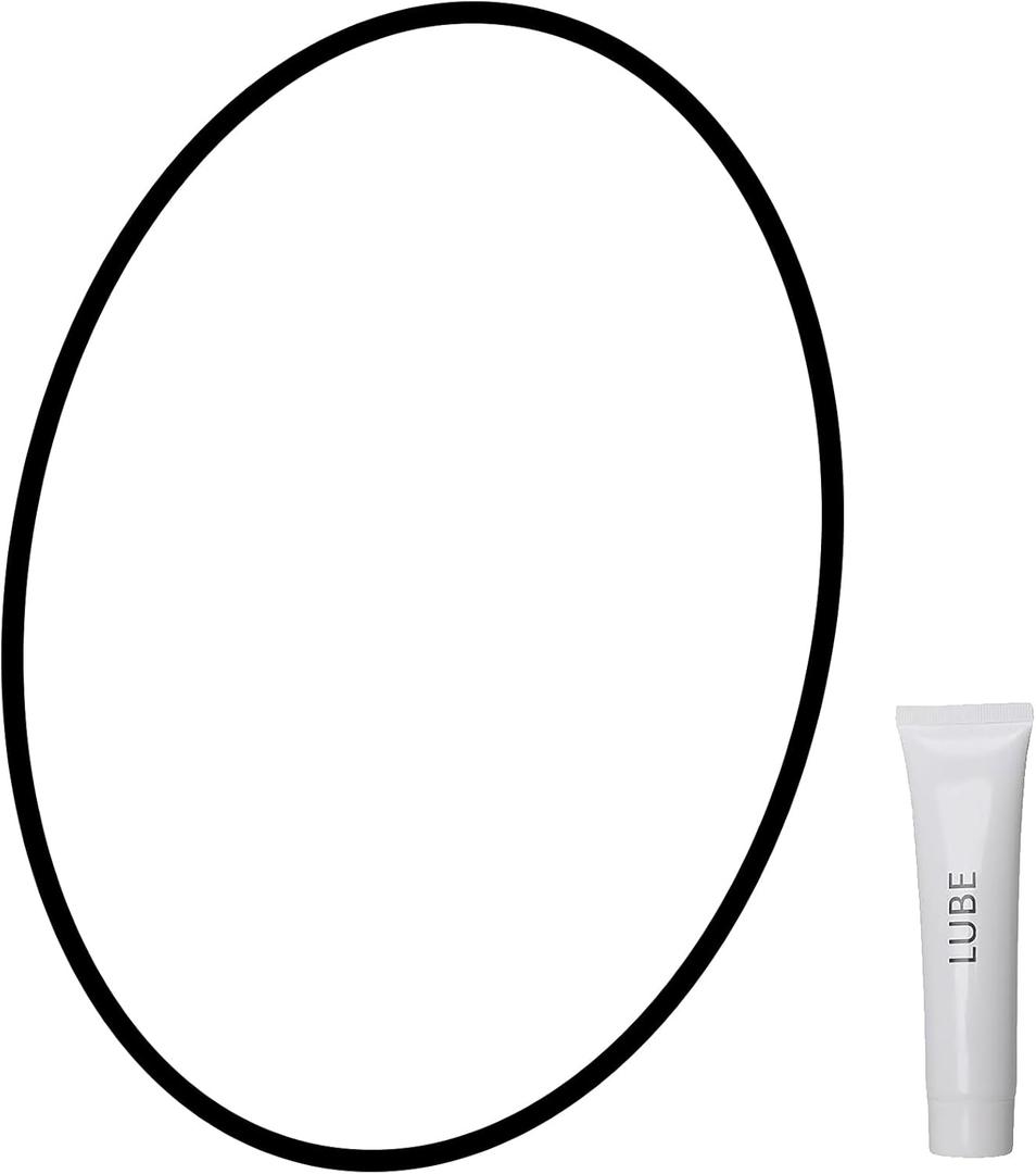 Pool Filter Seal Compatible with Hayward Pool Filter Pro-Grid DE DE2420 DE3620 DE4820 DE6020 DE7220 and SwimClear Filters O-Ring Gasket C2020 C3030 C4020 C5025 C5030 Replace # DEX2422Z2