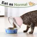 Cat Cone Collar Soft: Comfortable Waterproof Mesh Recovery Cone After Surgery to Stop Licking and Scratch, Alternative to Plastic Elizabeth Head/Neck Cone(Pink, M)