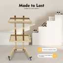 2 Tier Metal Rolling Cart, Stainless Steel Salon Tray with Wheels, Foldable Utility Carts, Folding Salon Tray Trolley for Tattoo (Golden)