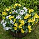 Nigirior Artificial Fake Flowers for Outdoor Dcor 6 Bundles UV Resistant Fake Plants for Planter Faux Impatiens for Home Porch/Garden StunningYellow/White