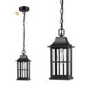 Emliviar Dusk to Dawn 2-Light Large Porch Light Outside Chandelier for Yard, 15.4" Black Hanging Lantern Light Fixture with E12 Base, Clear Glass, YXE306H-M-PC BK