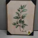 Framed Sage Green Botanical Wall Art for Kitchen, Set of 6 Rustic Herb Canvas Prints Artwork for Modern Farmhouse Walls, Herbs Spices Plant Leaf Pictures for Dining Room Living Room Bedroom Wall Decor