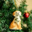 DIHOclub Set for 6 Cute Animal Christmas Ornaments with Gift Boxes, Hand-Painted Ceramic Animal Hanging Pendants for Christmas Tree and Home Decorations