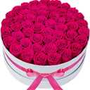 50 Piece Roses in a Velvet Box, Flowers for Delivery, Presereved Flowers Birthday Gifts for Women Mom and Wife (Radiant Pink)