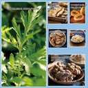 Herbal Soothing Gel, Pain Ointment,Joint and Muscle Relief Gel, Rheumatism Cream, Analgesic Cream for Men and Women's Back, Neck, Hands and Feet (60ml)