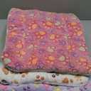 4 Pack Ultra Soft Dog Cat Bed Mat with Cute Prints Reversible Fleece Dog Crate Kennel Pad Cozy Washable Thickened Hamster Guinea Pig Pet Bed Mat for Small Animals(21 x 14 Inches,Vivid Color)