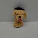 Chalyna 10 Inch 2025 Graduation Gift Dog Stuffed Animal Plush Golden Retriever with Diploma Tassel Graduation Hat Embroidered Blessings Preschool Kindergarten Gift for Friends, Relatives, and Kids