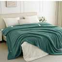 LunaHush Heated Blanket Electric Throw, 50" x 60" Heated Blanket with 8 Heat Levels & 8 Hours Auto Off, Fast Heating Sherpa Blankets Machine Washable with ETL & FCC Certified, Blue Green