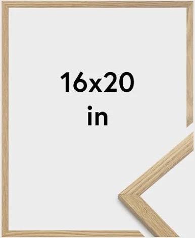 Picture Frame Gallery Collection 16 x 20 in