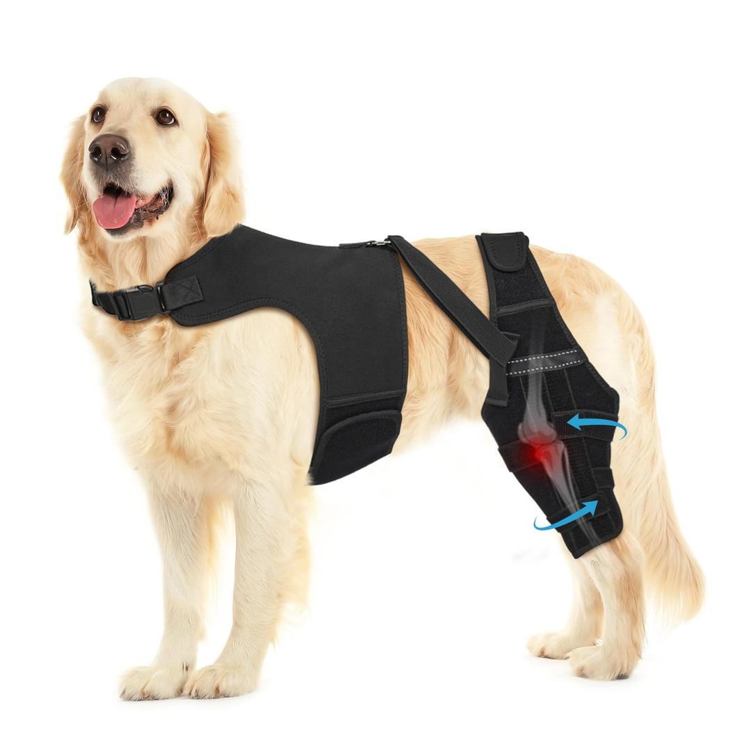 Dog Knee Brace for Torn ACL Hind Leg, Adjustable Dog Leg Braces for Back Leg with 4 Metal Stabilizers Helps with Torn CCL, Luxating Patella, Ligament Injuries, Hip Dysplasia, XL