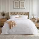 Bedsure Quilts Queen Size - Ultra Soft Queen Quilt Bedding Set for Modern Bedroom Decor, White Summer Bedspread Coverlet with 2 Pillow Shams, Lightweight All-Season Comforter 90x96 Inch (Queen / Full, 01 - White - Clover)