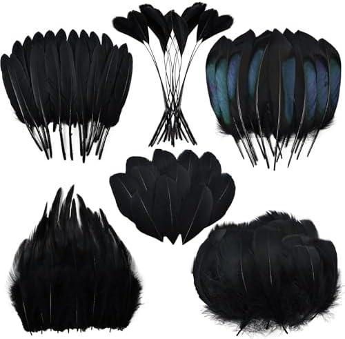 Black Craft Feathers Bulk - 180pcs 6 Style Mixed Natural Feathers for Wedding,DIY Crafts (Black)