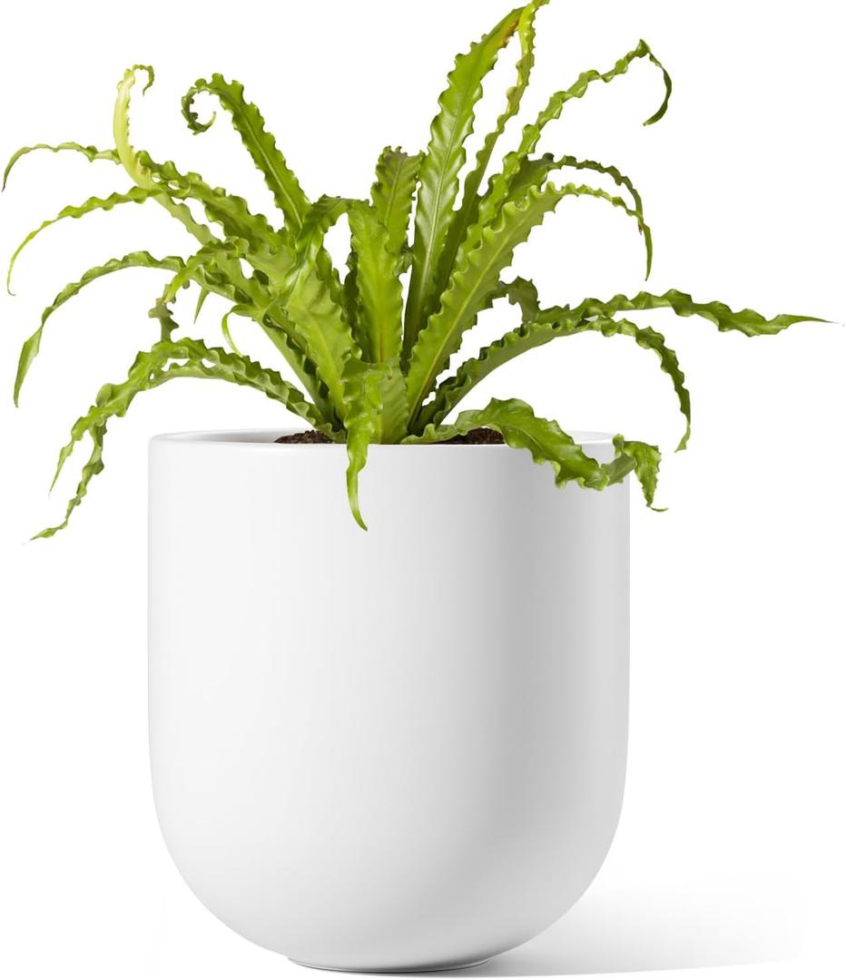 LE TAUCI 6 Inch Plant Pot, Ceramic Pot with Drainage Hole & Rubber Plug, Indoor Planter for Herbs & Small Houseplants, Cylinder Planter for Home Office, White
