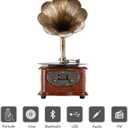 Record Player Retro Turntable All in One Vintage Phonograph Nostalgic Gramophone for LP with Copper Horn, Built-in Speaker 3.5mm Aux-in/USB