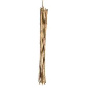 PANACEA 3FT NAT BAMBOO STAKES 15/PK