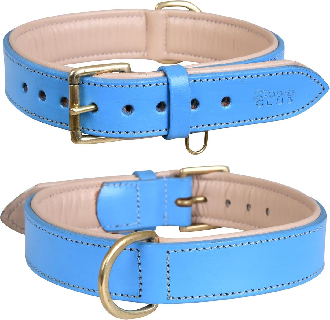 Genuine Leather Dog Collar | Full Grain, Heavy Duty, Comfortable, Padded, Strong | Best for Pups, Small, Medium, Large & XL Breeds (Large (Fit Neck Size 18.5"-22.5"), Blue)