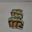 Pack Of 12 Scratch Art Pads
