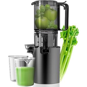 Canoly Masticating Juicer, 4.1 Inch Reversible Feed Chute for Whole Fruits and Vegetables, Good Slow Cold Press Juicer Machine with Low Noise, Simple to Use, large, Pro (Large Inlet), Canoly-003