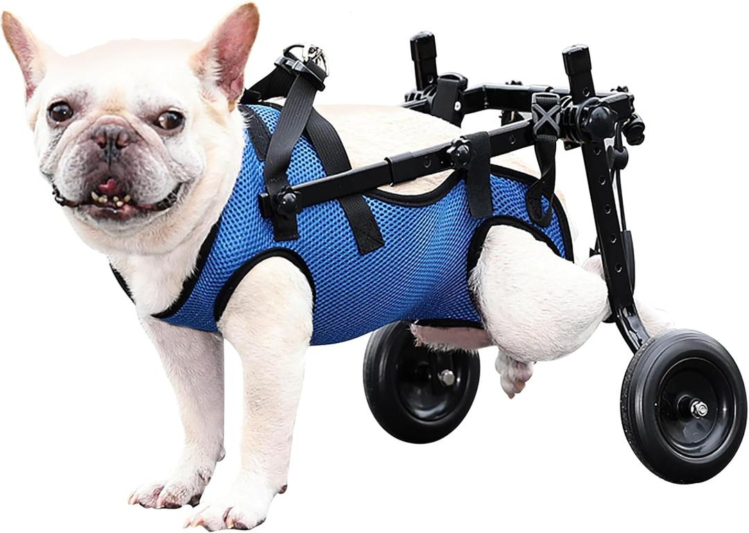 Dog Wheelchair for Back Legs, Dog Wheelchair for Small Dog, Adjustable Pets Cart with Wheels, Doggy Wheelchairs for Disabled Hind Legs, Dog Leg Brace and Hip Support (Medium)