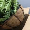 2 Set Fake Ferns with Hanging Baskets, UV Resistant Fake Hanging Ferns Plants, Outdoor Artificial Hanging Plants for Front Porch Garden Balcony Patio Home Decor, No Assembly